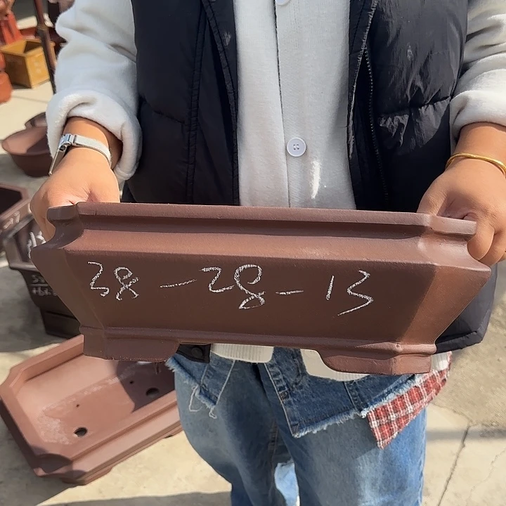 是一个充满生机盎然