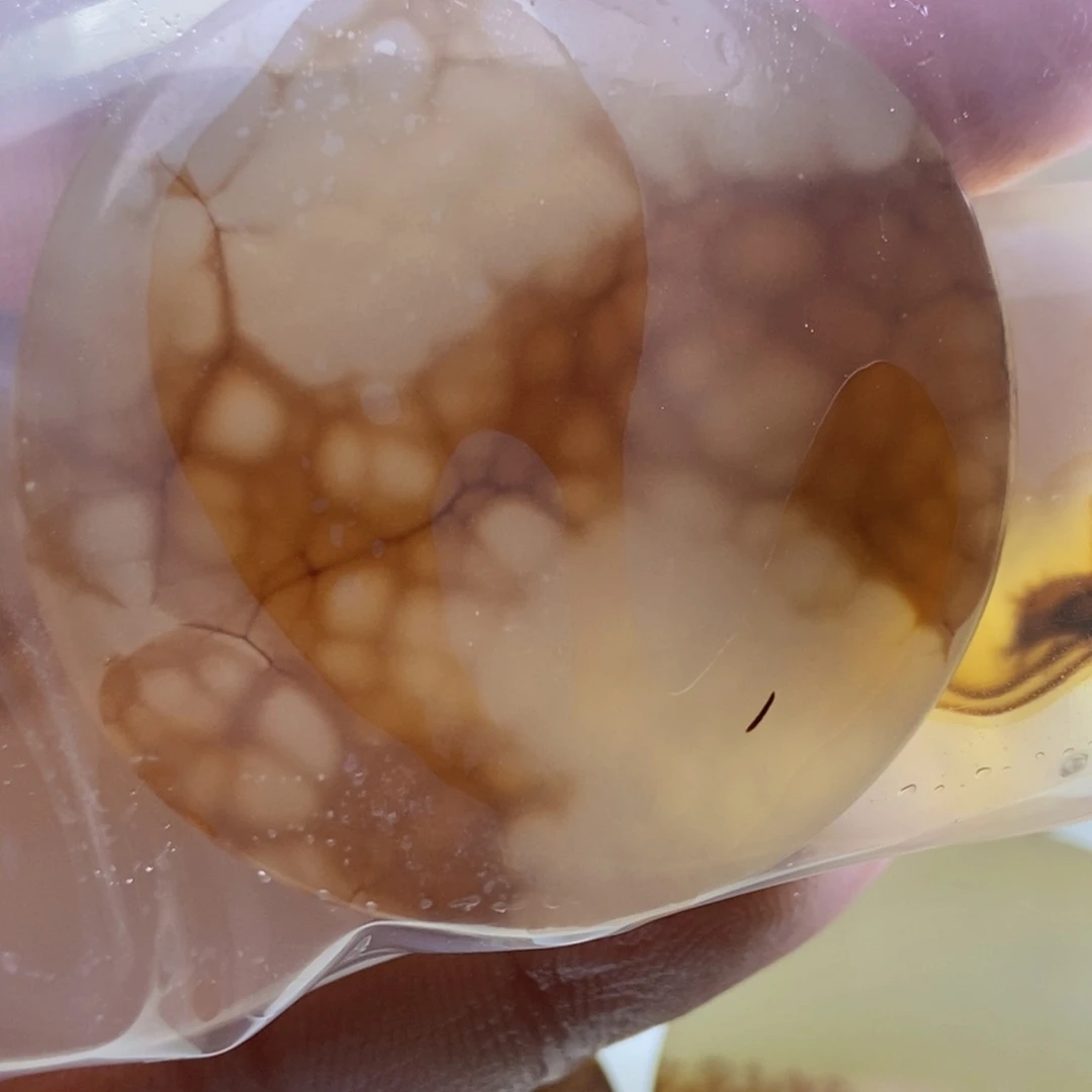 【闪购商品】未镶嵌颈饰玛瑙/玉髓杰*