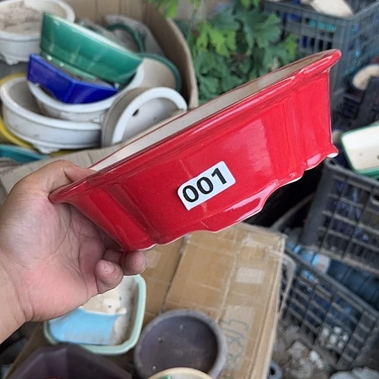 这就是为什么不可以说呢啊这