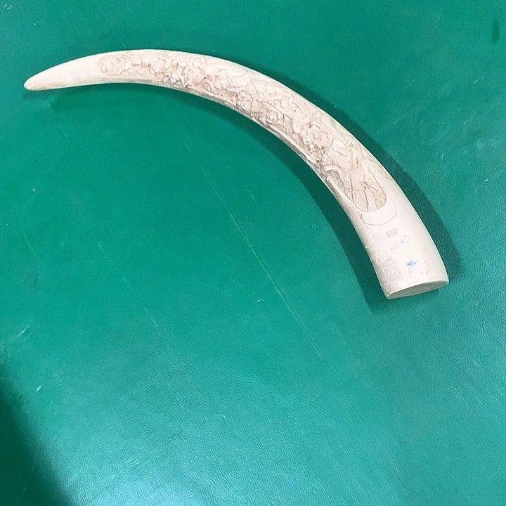 有****卿11111111111111111