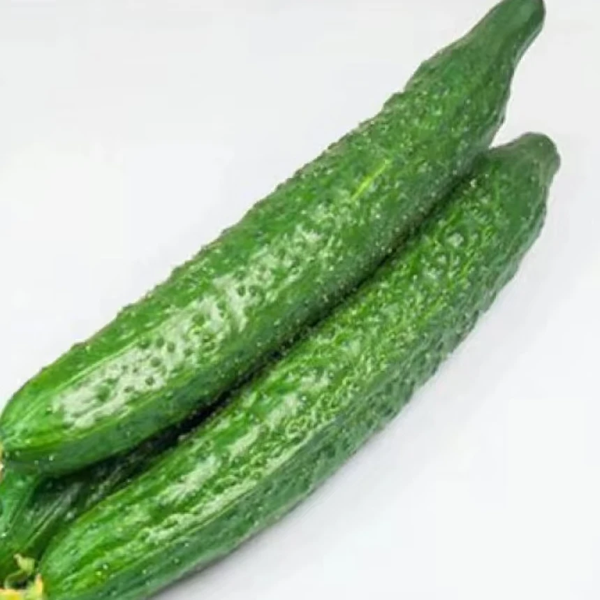 【万家鸿福】本地黄瓜1000g鲜花黄瓜