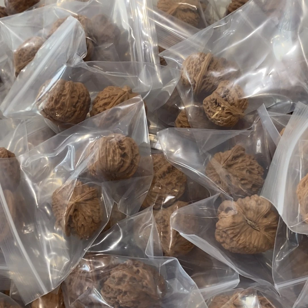 文玩核桃吊坠白狮子异型不好