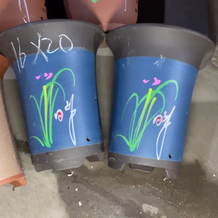 真是这是事实周三周四