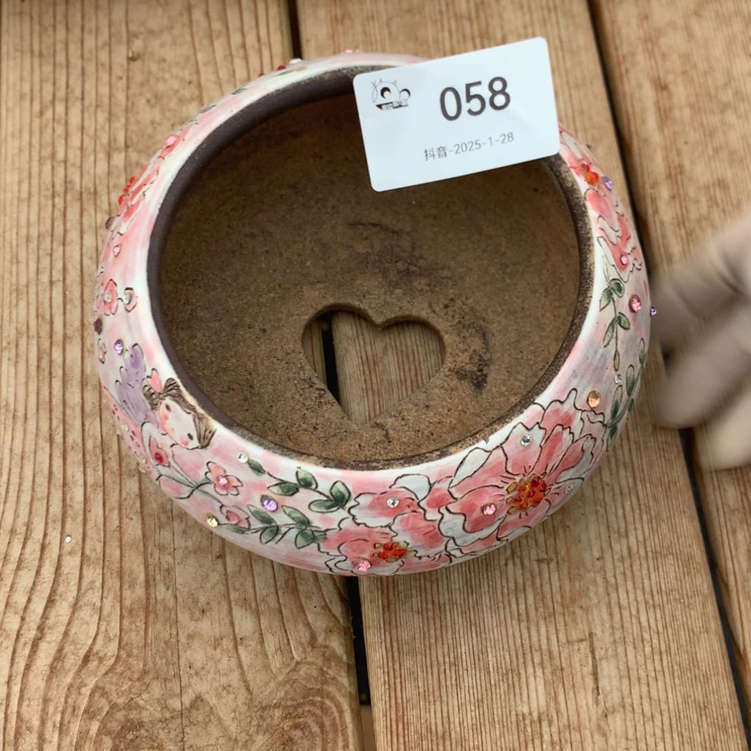 不****了首富柿子盆058号多肉