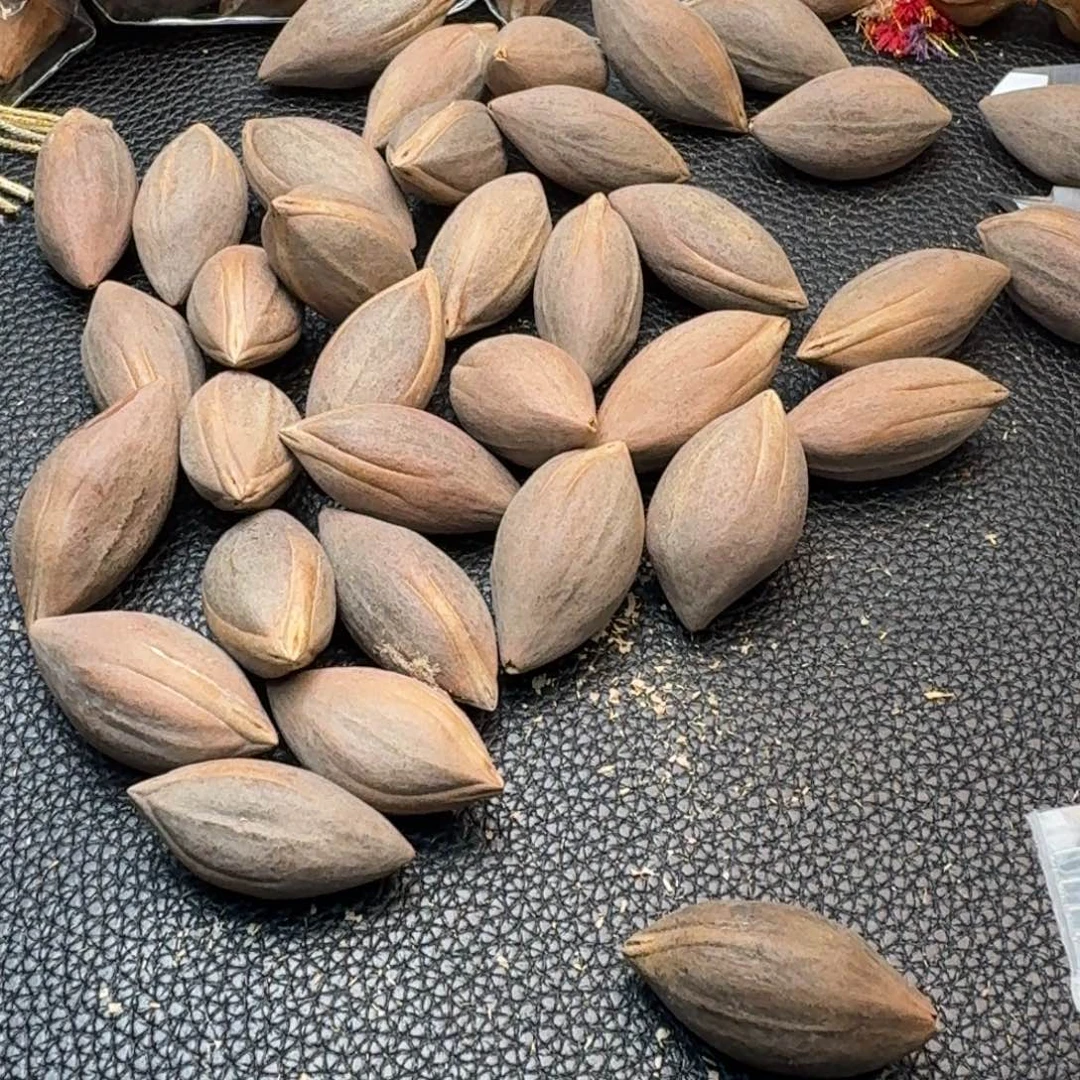 疯****手串/手链橄榄核1