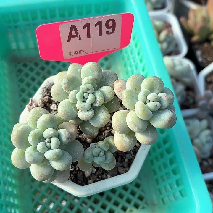 南****∝dghxsghjjyf119