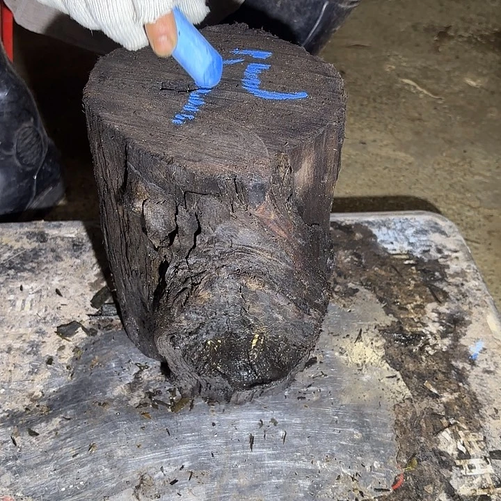 *****金丝楠啊啊啊啊啊啊啊