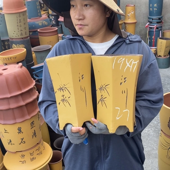 紫砂花盆盆栽花卉苗木种植