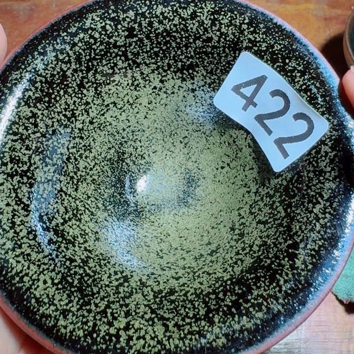 茶盏提出解决农村留守学生入学