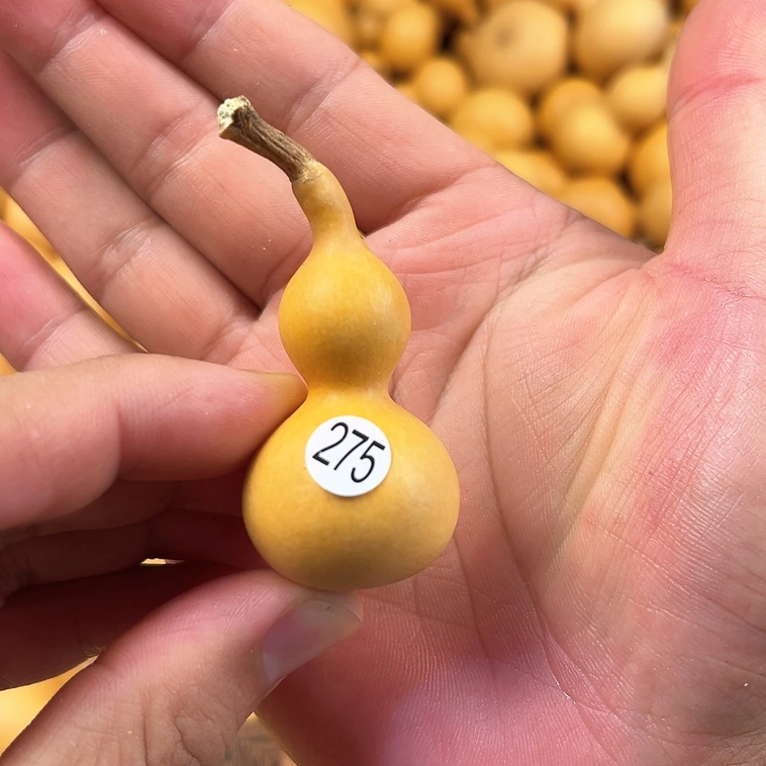 五葫芦葫芦葫芦葫芦 275