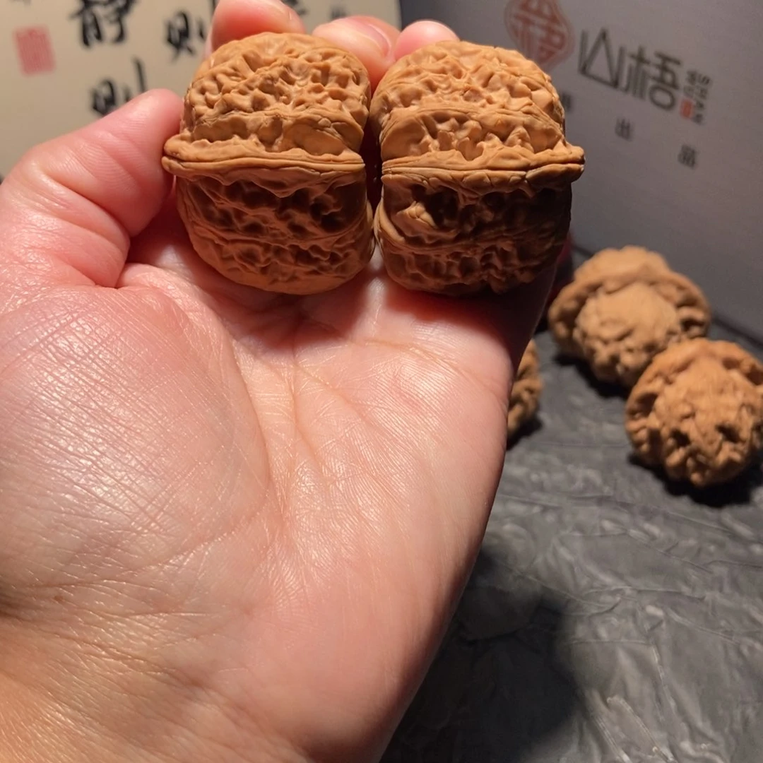 核桃手串/手链T*036全品狮子