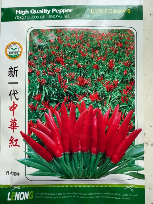 小菜园早熟朝天椒种子