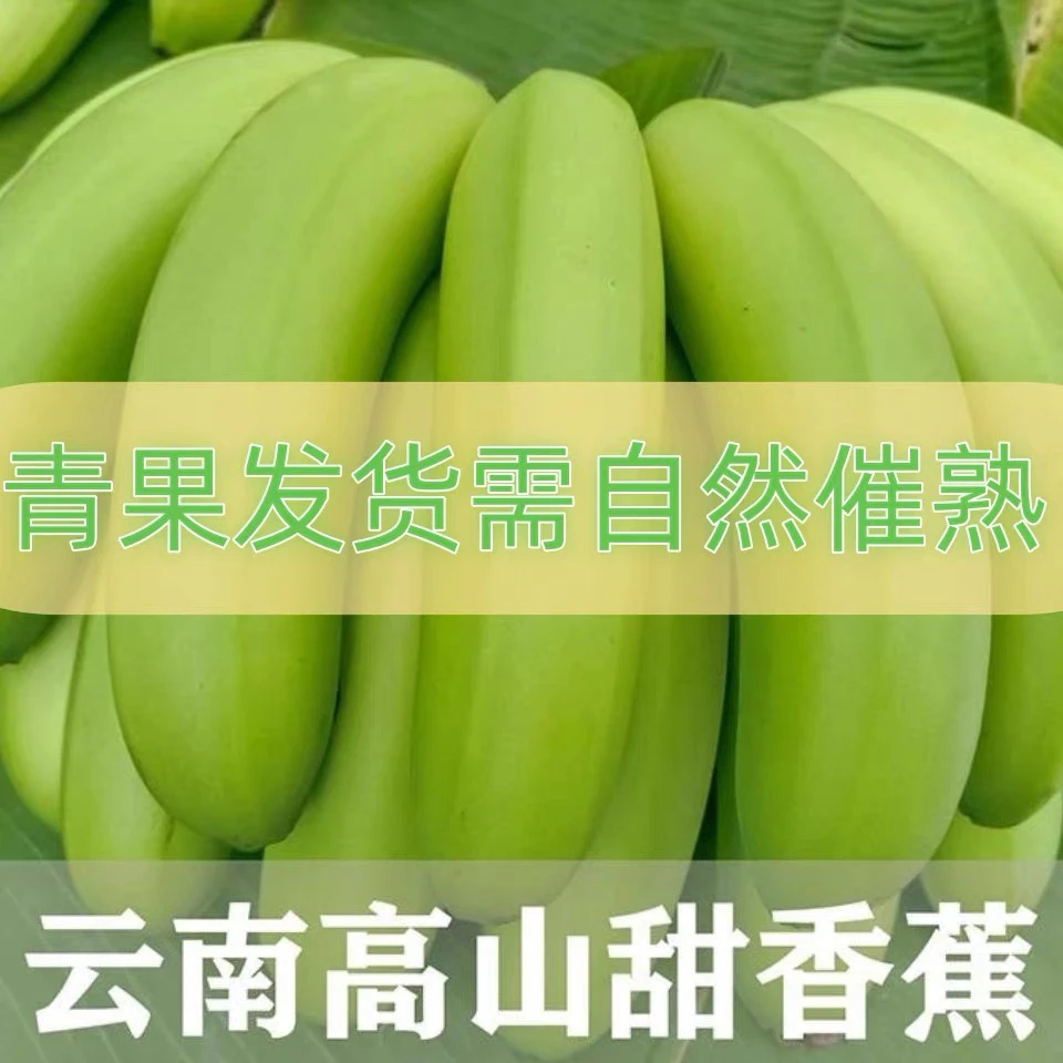 云南高山甜香蕉当季新鲜水果香甜软糯无保鲜无催熟现采现发泡沫箱