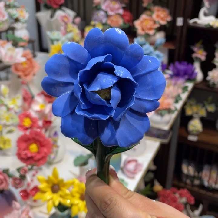 瓷片580999999999998999999966