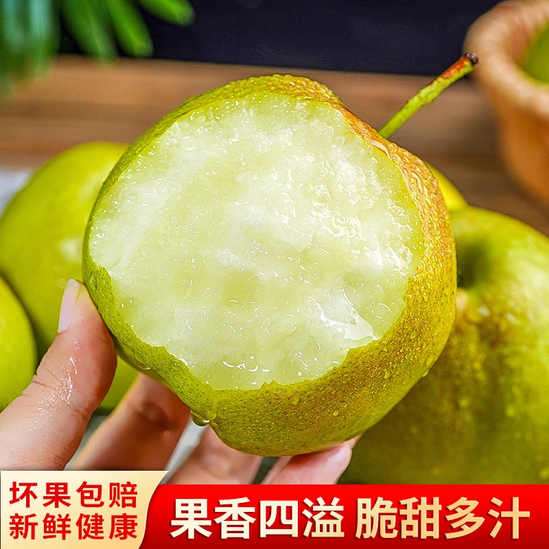 【山西玉露香梨】产地直发新鲜当季水果脆甜多汁皮薄无渣细腻爽口