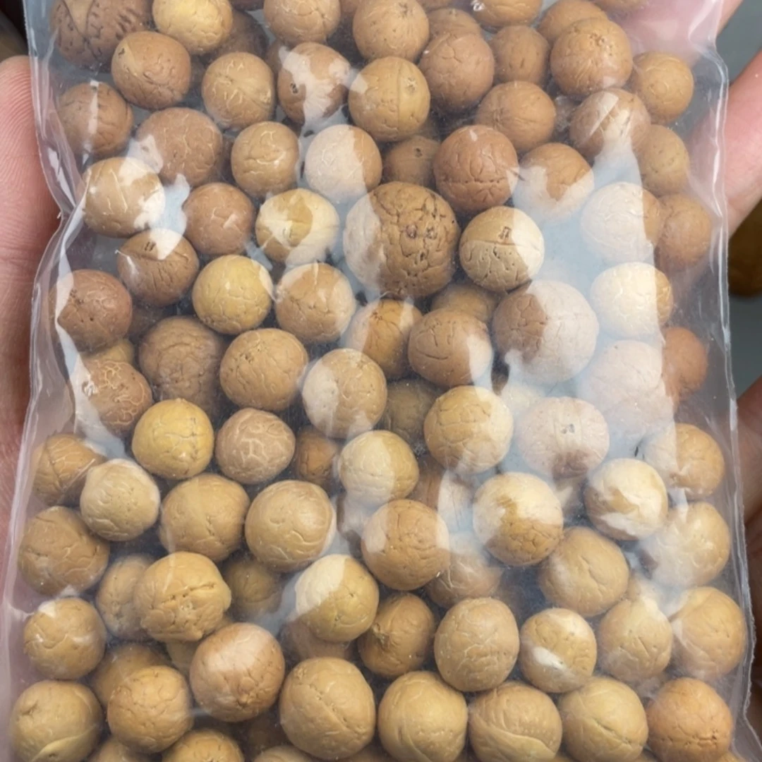 7***1凤眼菩提吊坠福利