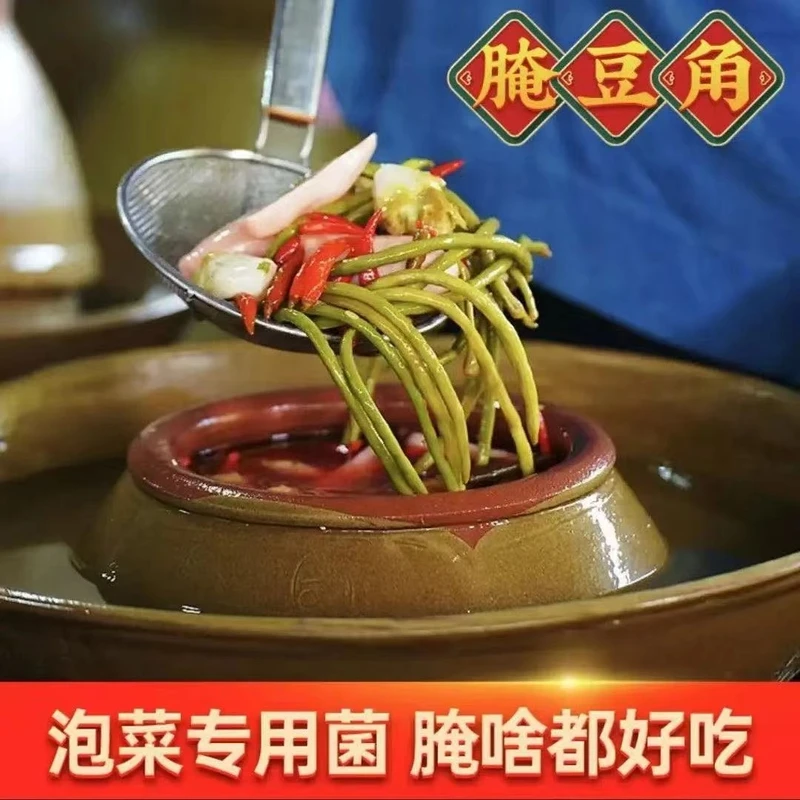 东北四川泡菜发酵菌酸菜乳酸菌家用自制韩式食用酸菜泡菜发酵rl