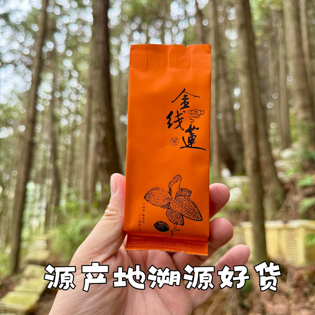【干货】红霞金线莲茶（泡袋）