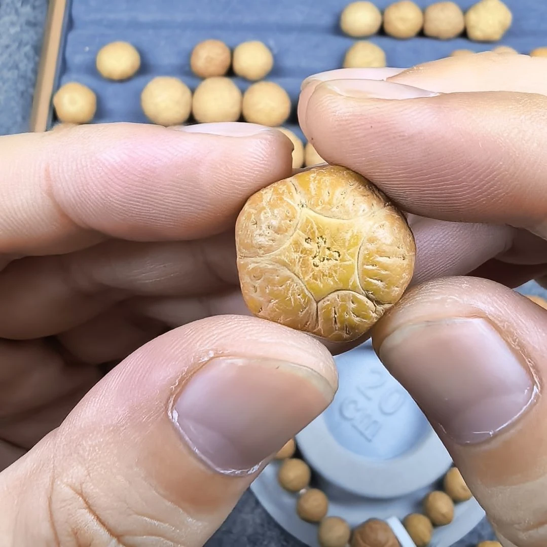 第***_手串凤眼菩提20五星上将
