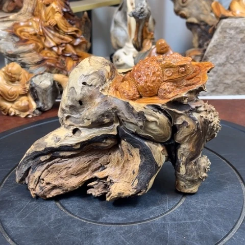 柏木（崖柏）v v b b b b j j j