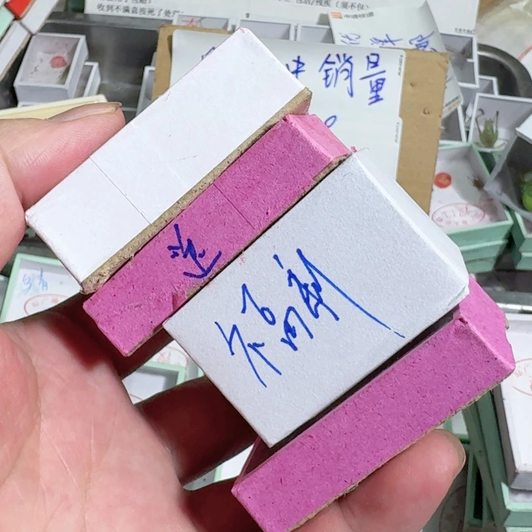 万***成蟋蟀蝈蝈你在干嘛了我想
