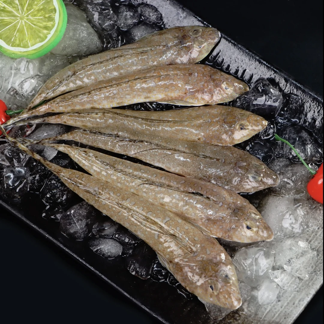 【鸡腿鱼】惠来神泉本港鸡腿鱼/箭头鱼【5盒】原产地顺丰冷链顺丰包邮