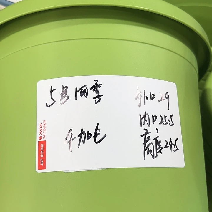 正品5号四季口29高24.5果绿无托5只