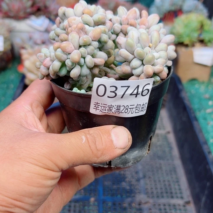 幸运的是我还没遇到