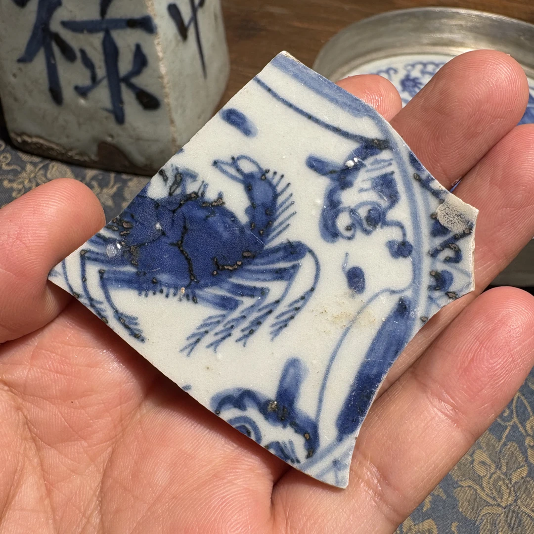 M青花螃蟹瓷片标本学习收藏顺丰包邮手工手绘