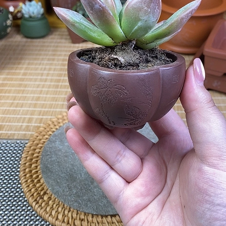 宜兴紫砂精品花盆