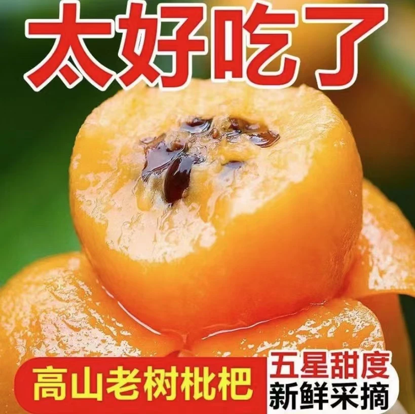 四川正宗大五星枇杷鲜甜多汁应季水果现摘现发=