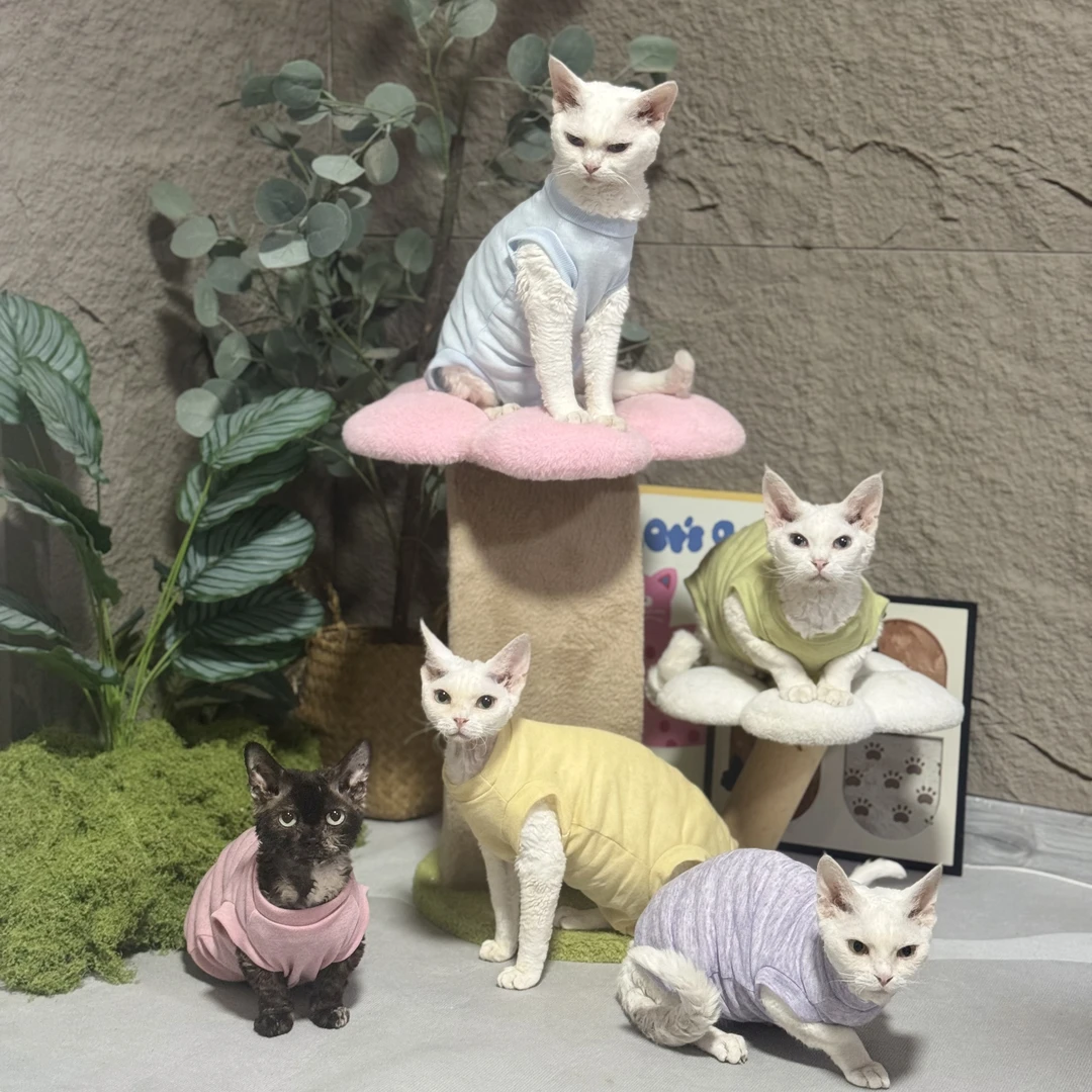 德文猫衣服夏季非常薄柔软弹力空调房防晒罩衣矮脚猫无毛猫衣服