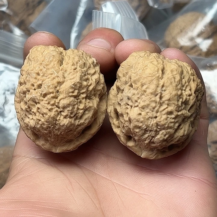 核桃13号蟾祖40尺