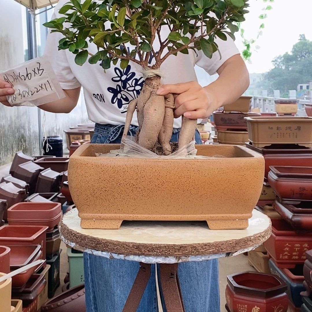 花盆段泥紫砂花盆