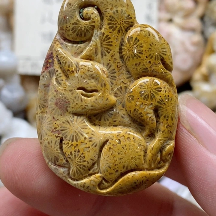 颈饰未镶嵌硅化珊瑚（珊瑚玉）