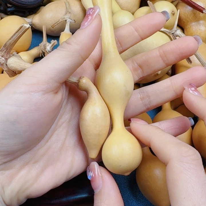 一*是任杰咯来咯哦咯哦