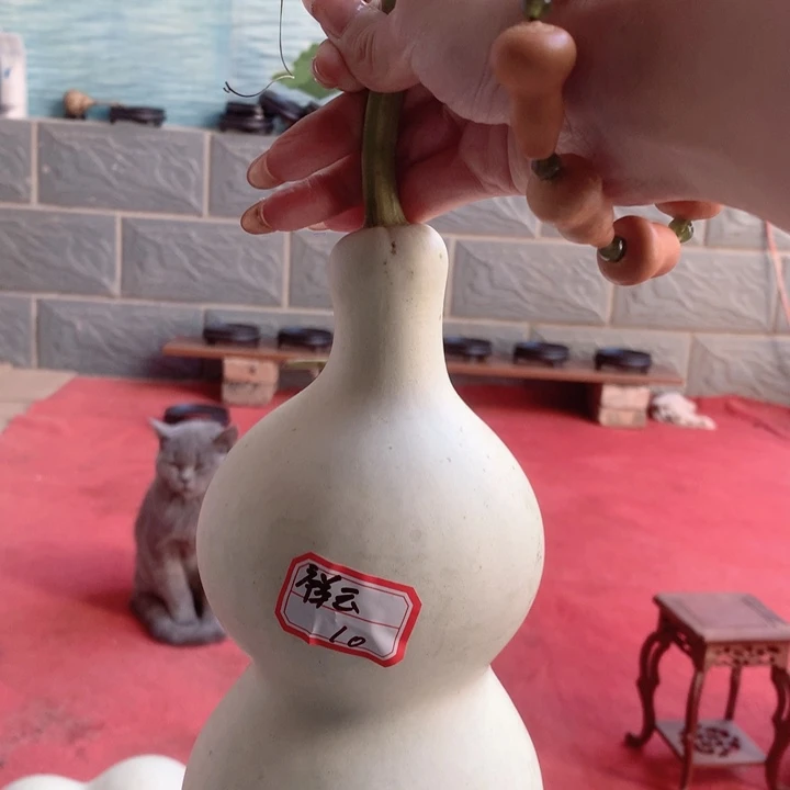 祥***閣中号尺寸的尺寸大小尺寸
