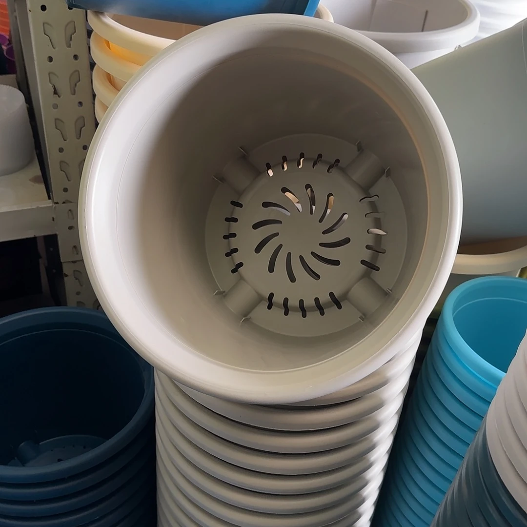 树脂四季6号无托7个灰白微瑕