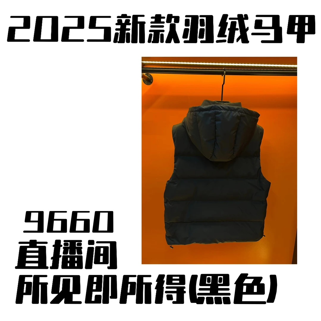 【原单版本】羽绒马甲男装高奢时尚潮流百搭白鸭绒【小林专属】桦