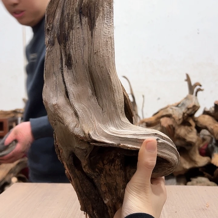 柏木用****6我们都是好孩子呀我也