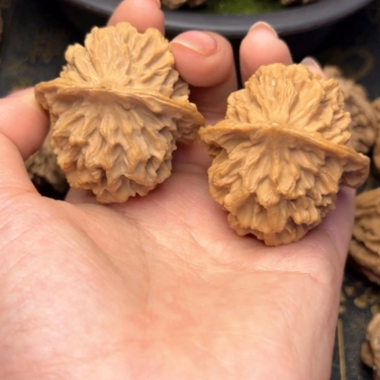 文玩核桃把件老**仔秦岭核桃17