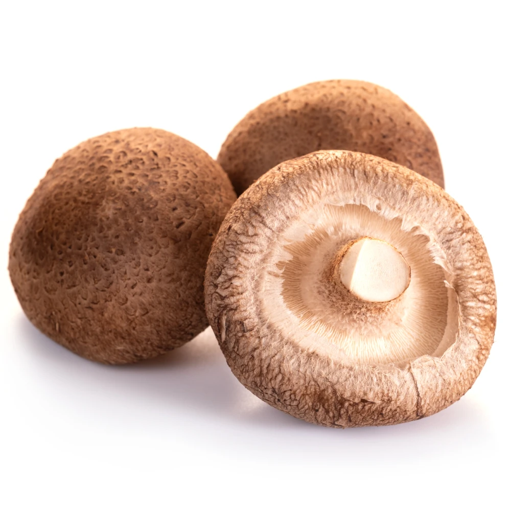 香菇约200g±5g/份绿色蔬菜