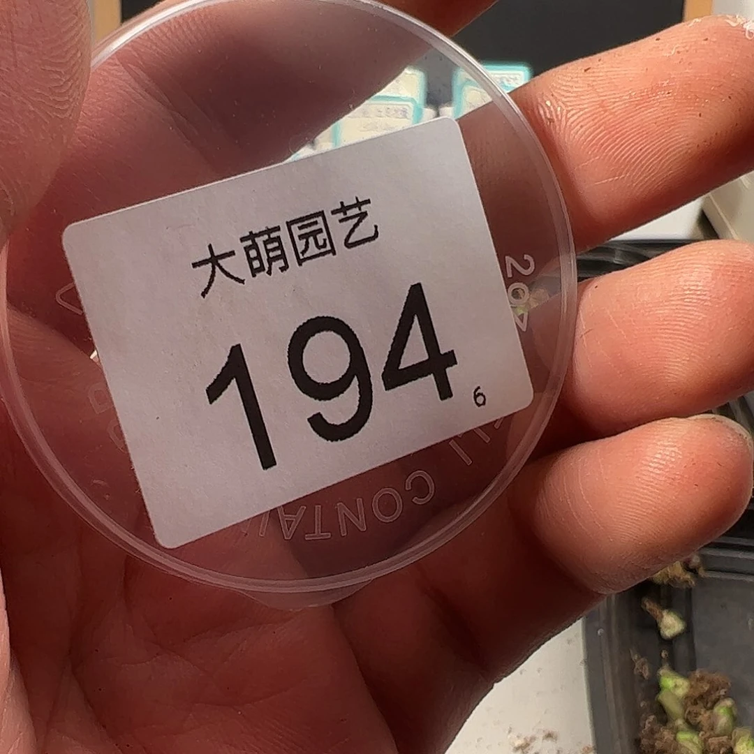 Y**九0000194 一物一拍……