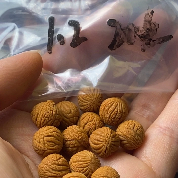 手串文玩核桃秦岭野生龙纹桃核12