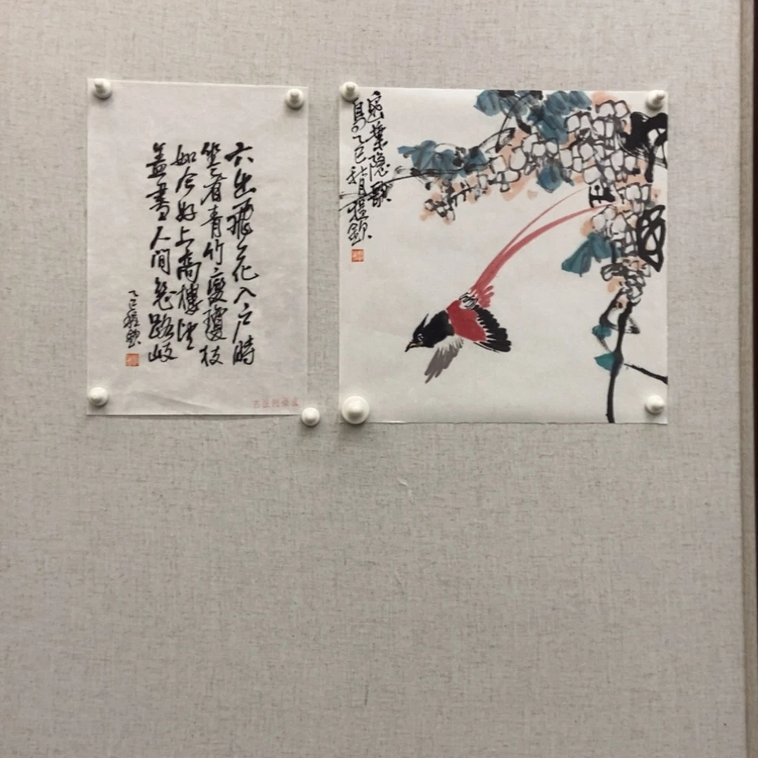 手***击国画墨鱼精品墨鱼精品