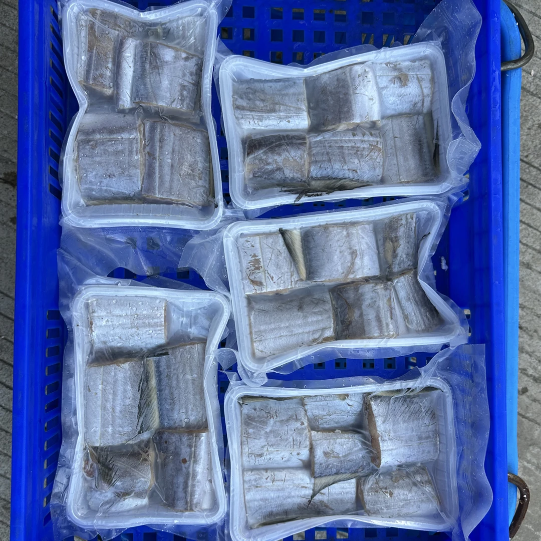 惠来神泉港  照灯带鱼  顺丰快递发货