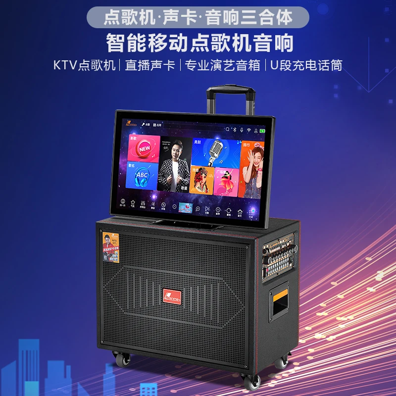 Danms/丹唛仕户外KTV带声卡大功率重低音便携式专业广场舞音响