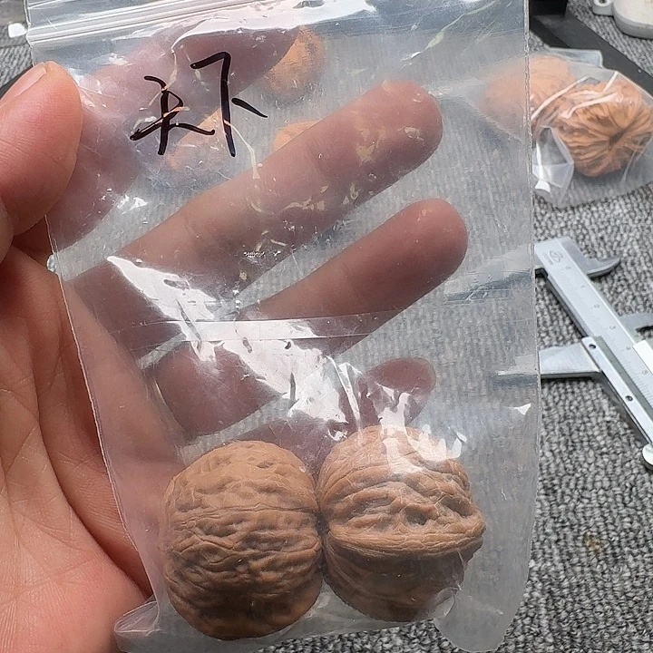 天***贼文玩核桃吊坠铁锤