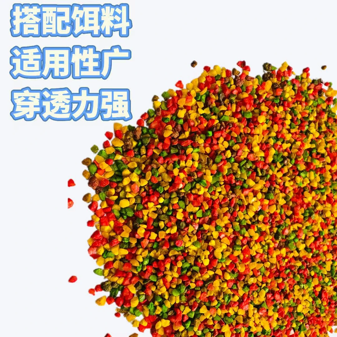 H【粉丝福利】拍一发五 窝里横三色窝米