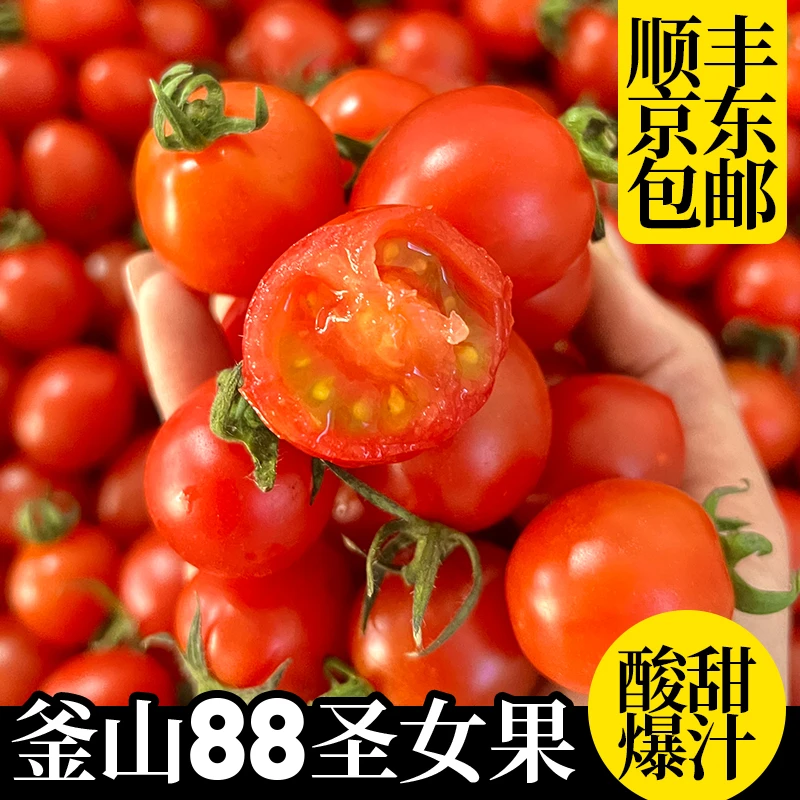 釜山88小番茄圣女果千禧玲珑果新鲜水果现摘樱桃小柿子芭乐自然熟